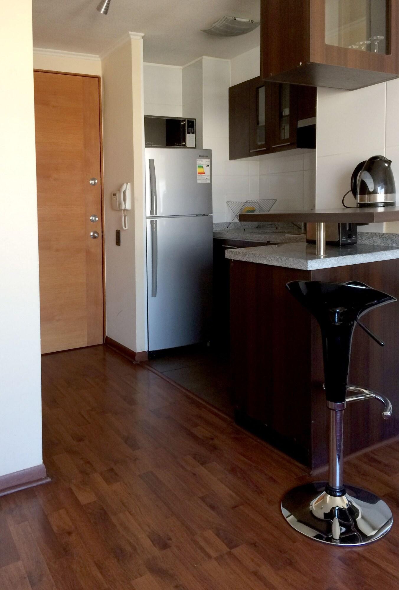 Santiago Furnished Apartments Exterior photo